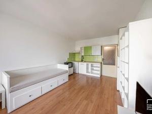 Prodej bytu 1+kk, České Budějovice, Fr. Ondříčka, 23 m2
