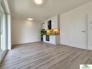 Pronájem bytu 1+kk, Plzeň, Vysoká, 32 m2