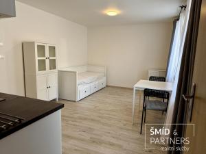 Pronájem bytu 1+kk, Lošany, 25 m2