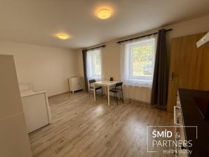 Pronájem bytu 1+kk, Lošany, 25 m2