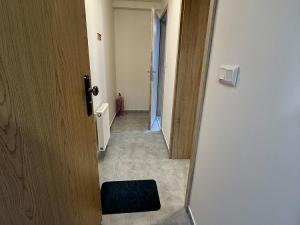 Pronájem bytu 1+kk, Lošany, 25 m2