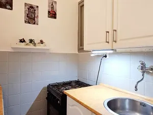 Pronájem bytu 1+kk, Praha - Vysočany, Prouzova, 36 m2