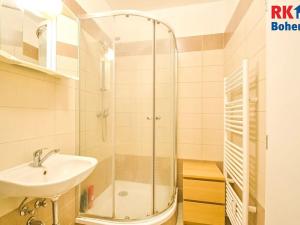 Pronájem bytu 1+kk, Český Brod, Palackého, 30 m2