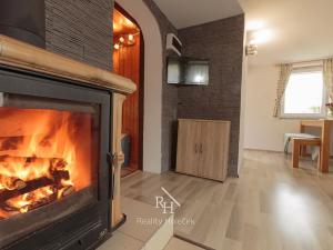 Prodej chaty, Okounov, 55 m2