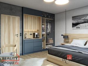 Prodej bytu 1+kk, Černý Důl, 38 m2