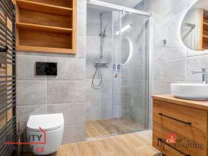 Prodej bytu 1+kk, Černý Důl, 38 m2
