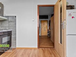 Prodej bytu 1+1, Náchod, Bílá, 55 m2