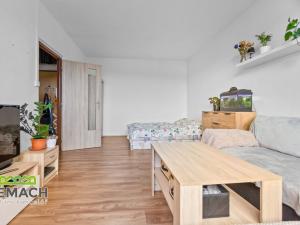 Prodej bytu 1+1, Náchod, Bílá, 55 m2