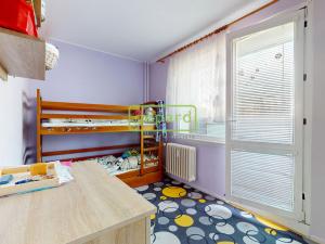 Prodej bytu 2+1, Svitavy - Lány, Svitavská, 59 m2