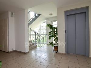 Pronájem bytu 2+kk, Brno, Trýbova, 72 m2