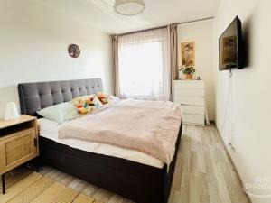 Prodej bytu 2+kk, Praha - Holešovice, V háji, 50 m2