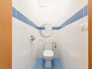 Pronájem bytu 2+kk, Praha - Uhříněves, K Netlukám, 58 m2