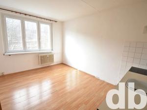 Pronájem bytu 1+kk, Kraslice, Družstevní, 20 m2
