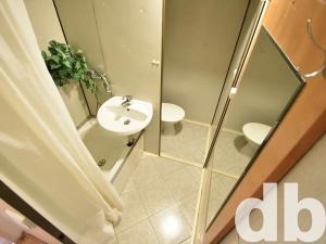 Pronájem bytu 1+kk, Kraslice, Družstevní, 20 m2
