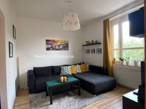 Pronájem bytu 2+kk, Ústí nad Labem - Klíše, Palachova, 46 m2