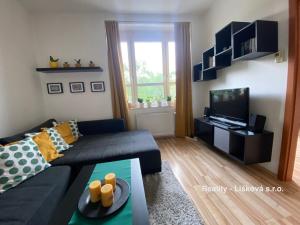 Pronájem bytu 2+kk, Ústí nad Labem - Klíše, Palachova, 46 m2
