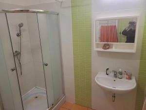 Pronájem bytu 1+kk, Brno, Vídeňská, 22 m2