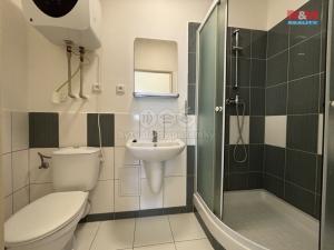 Pronájem bytu 1+1, Ostrava - Vítkovice, Ruská, 46 m2