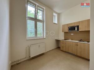 Pronájem bytu 1+1, Ostrava - Vítkovice, Ruská, 46 m2