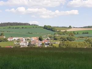 Prodej zemědělské usedlosti, Křečovice, 549 m2