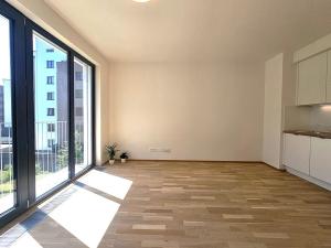 Pronájem bytu 1+kk, Praha, Šenácká, 36 m2