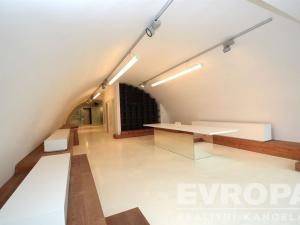 Pronájem obchodního prostoru, Praha - Holešovice, Na Maninách, 250 m2