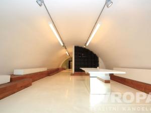 Pronájem obchodního prostoru, Praha - Holešovice, Na Maninách, 250 m2