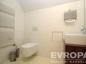 Pronájem obchodního prostoru, Praha - Holešovice, Na Maninách, 250 m2