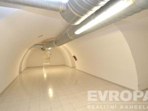 Pronájem obchodního prostoru, Praha - Holešovice, Na Maninách, 250 m2