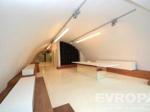 Pronájem obchodního prostoru, Praha - Holešovice, Na Maninách, 250 m2