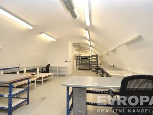 Pronájem obchodního prostoru, Praha - Holešovice, Na Maninách, 250 m2