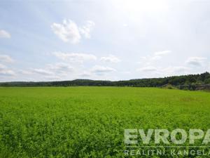 Prodej rodinného domu, Podbrdy, 220 m2