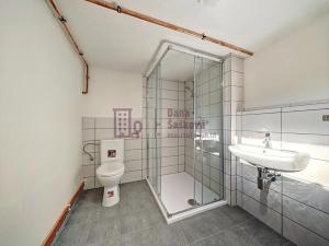 Prodej rodinného domu, Jindřichův Hradec, Spojovací, 297 m2