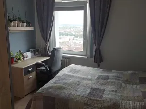 Prodej bytu 3+1, Třebíč, Energetiků, 70 m2