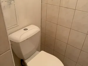 Pronájem bytu 1+1, Žatec, Husova, 36 m2
