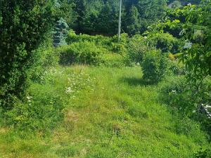 Prodej chaty, Nejdek, 43 m2