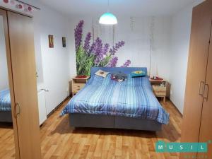 Pronájem bytu 2+1, Olomouc, Lidická, 65 m2