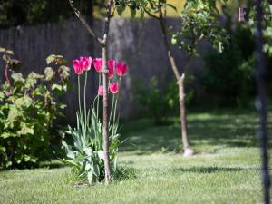 Prodej rodinného domu, Třeboň - Břilice, Dunajovická, 396 m2