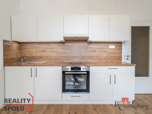 Pronájem bytu 1+kk, Ostrava - Přívoz, Palackého, 21 m2