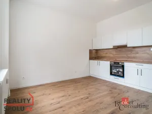 Pronájem bytu 1+kk, Ostrava - Přívoz, Palackého, 21 m2