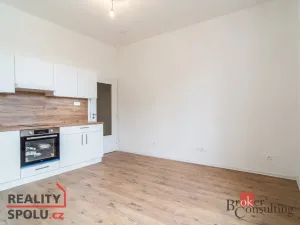 Pronájem bytu 1+kk, Ostrava - Přívoz, Palackého, 21 m2