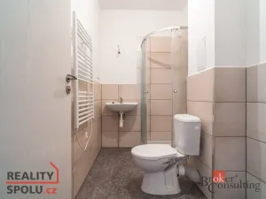 Pronájem bytu 1+kk, Ostrava - Přívoz, Palackého, 21 m2