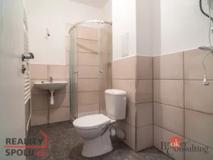 Pronájem bytu 1+kk, Ostrava - Přívoz, Palackého, 21 m2