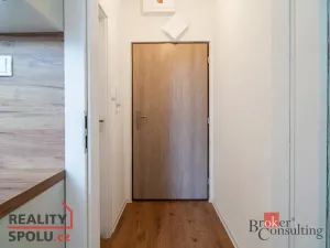 Pronájem bytu 1+kk, Ostrava - Přívoz, Palackého, 21 m2