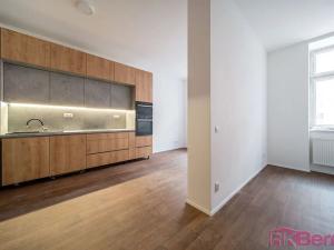 Pronájem bytu 1+kk, Brno, Spolková, 49 m2