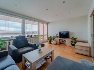 Prodej bytu 3+1, Dolní Benešov, 75 m2