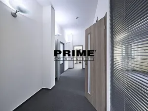 Pronájem kanceláře, Praha - Nové Město, 169 m2