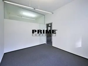 Pronájem kanceláře, Praha - Nové Město, 169 m2