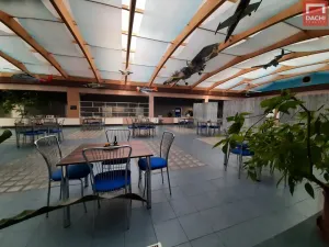 Pronájem kanceláře, Olomouc, Šlechtitelů, 185 m2