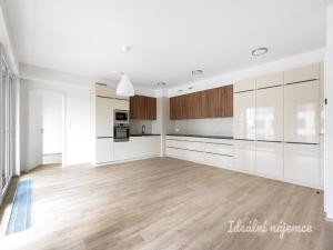 Pronájem bytu 3+kk, Praha - Hloubětín, Domalípova, 90 m2